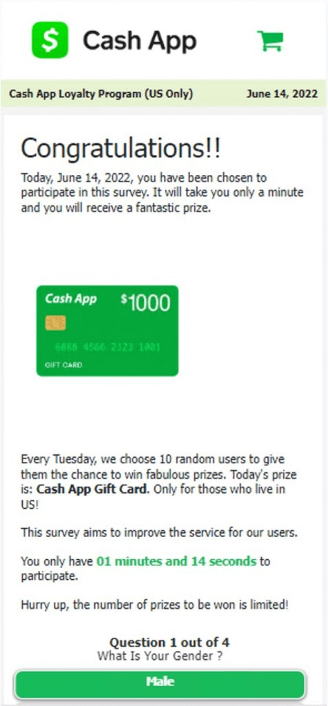 fake cash app sent
