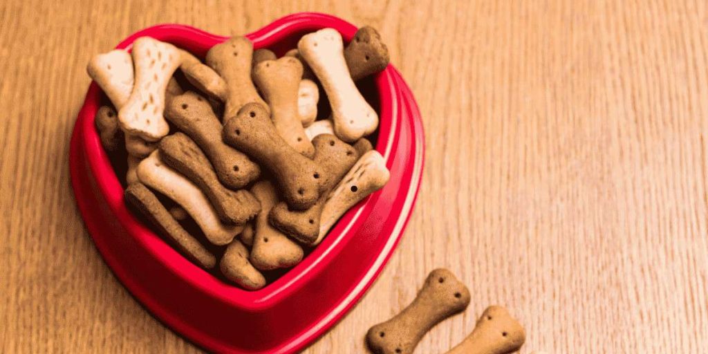 start a dog treat business