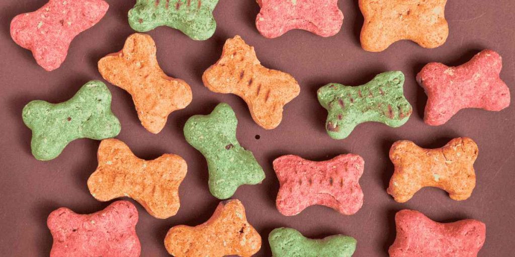 start a dog treat business