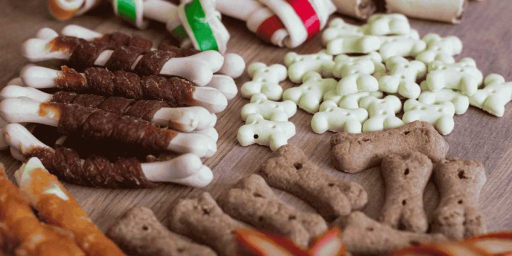 start a dog treat business